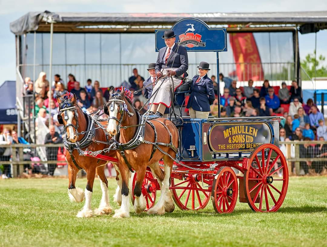 Heavy Horse Driving Challenge